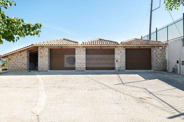 ac0b84b174df45ee8f38bf59a29c4c00-original