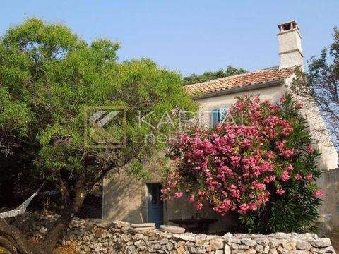 Mali Losinj Häuser, Mali Losinj Haus kaufen