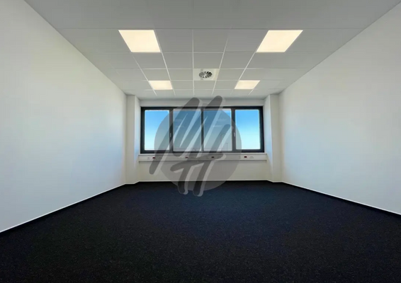 INFOS UNTER: 06171-586000