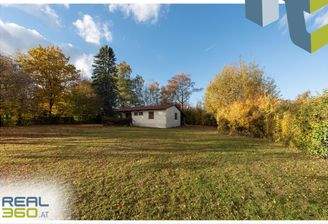 Großzügiges Grundstück mit altem Bewuchs