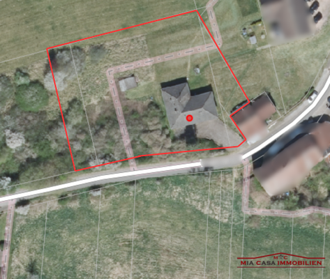 michelbach vogel.png