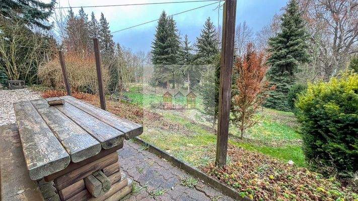 Blick in den Garten/Park