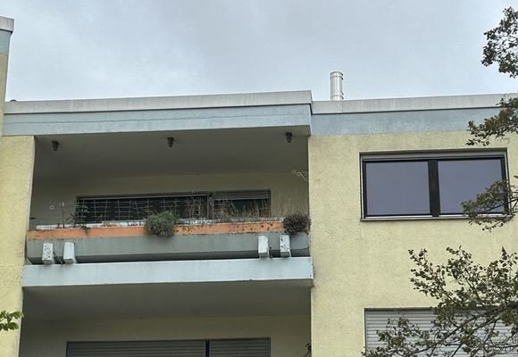 Ich genieße die Natur