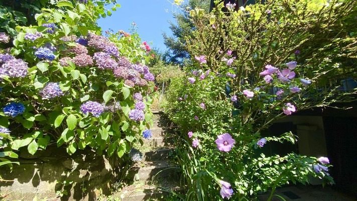 Garten