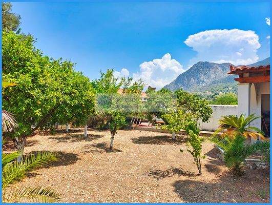 ecff73bda9384e618da28ebcbbe1c8fd-original