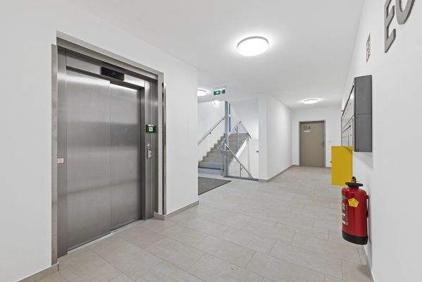 Bella Vita - Wiener Neustadt