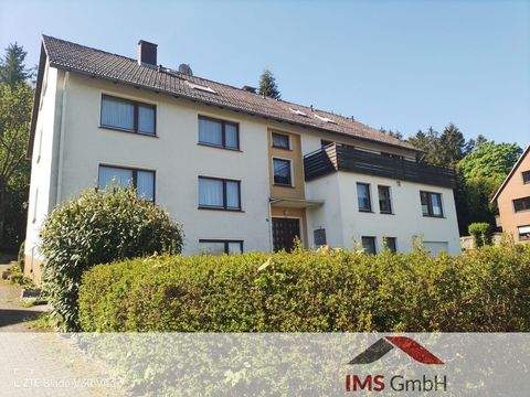 Neuhaus im Solling Wohnungen, Neuhaus im Solling Wohnung mieten