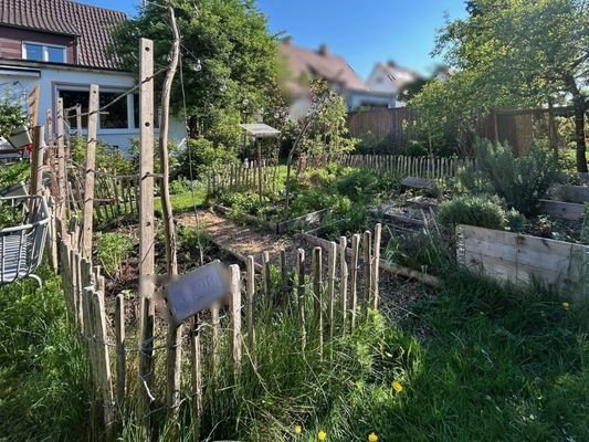 Gemüsegarten (2)