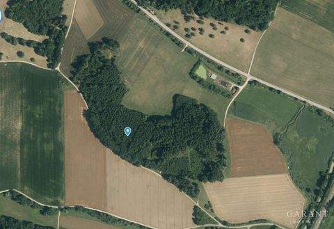 Weilheim Bauernhöfe, Landwirtschaft, Weilheim Forstwirtschaft