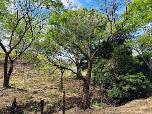 Pachtgrundstück auf Nachfrage (2).JPG