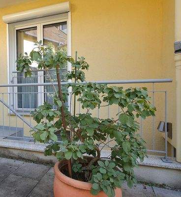 204 8 Eingang (1 von 1).jpg