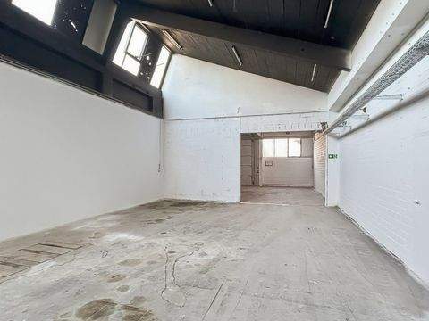 Zwiesel Halle, Zwiesel Hallenfläche