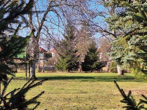 Brandis Grundstücke, Brandis Grundstück kaufen