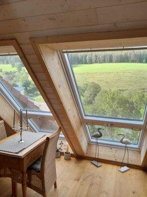 Wohnung DG Loggia-Fenster