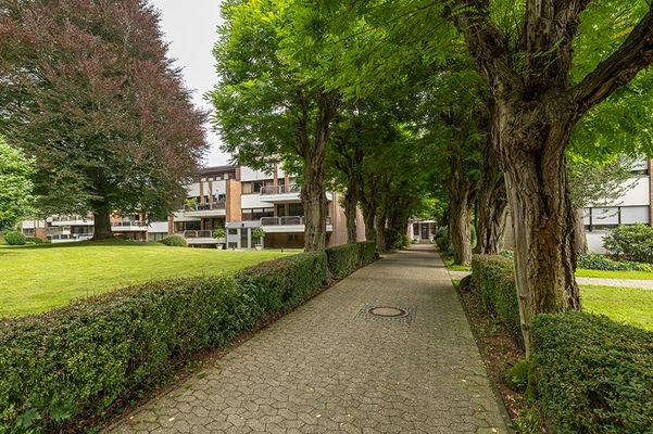 "Allee" zum Hauseingang