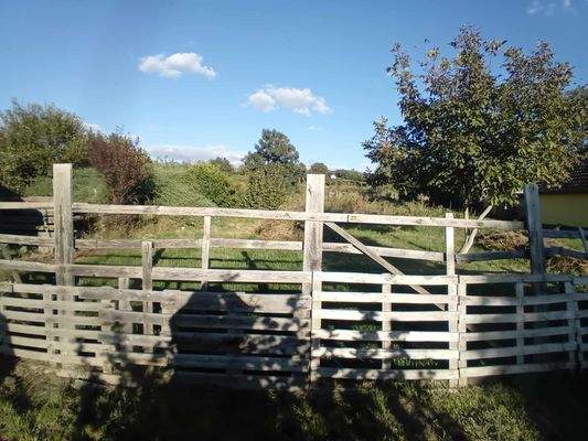 461113283_530321936258426_1241688446149461603_n.jp