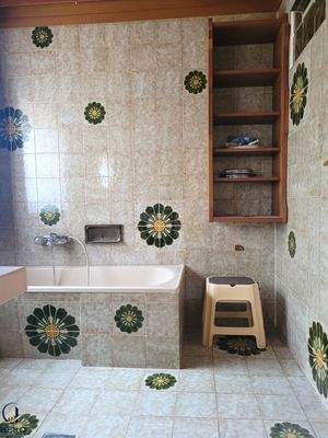 Tageslicht Bad mit Wanne