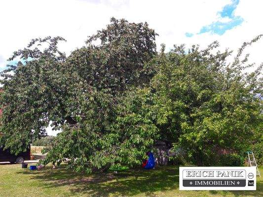 Lalendorf Derssentin-153820.jpg