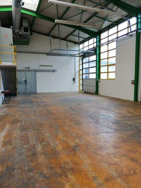 Zeil am Main Halle, Zeil am Main Hallenfläche