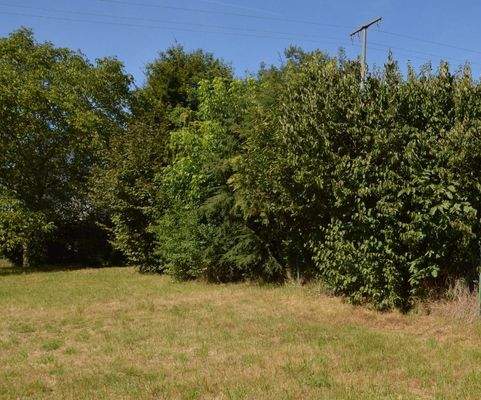 Exklusives Baugrundstück AW161