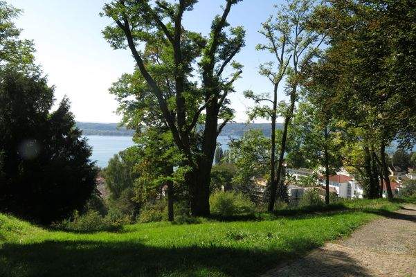 Aussicht von Schloss Rauenstein