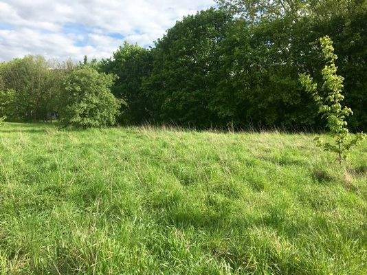 Johannes-R.-Becher-Str., Magdeburg