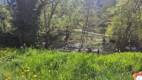 Freiburg im Breisgau Renditeobjekte, Mehrfamilienhäuser, Geschäftshäuser, Kapitalanlage