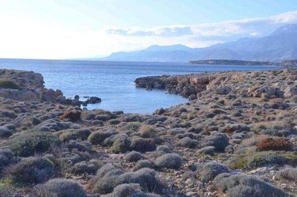 Kreta, Kalo Nero: Einzigartiges Hotelentwicklungsgrundstück direkt am Meer zu verkaufen