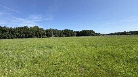 Dannenberg Bauernhöfe, Landwirtschaft, Dannenberg Forstwirtschaft