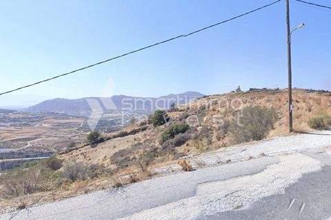 Kourounochori, Naxos Bauernhöfe, Landwirtschaft, Kourounochori, Naxos Forstwirtschaft