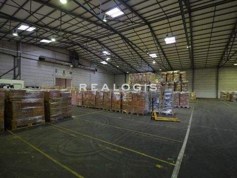 Hamburg Halle, Hamburg Hallenfläche