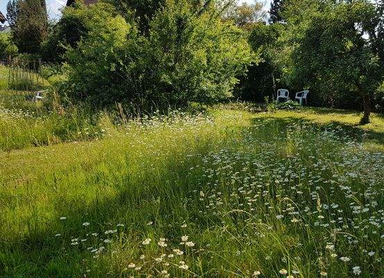 r garten stühle.jpg