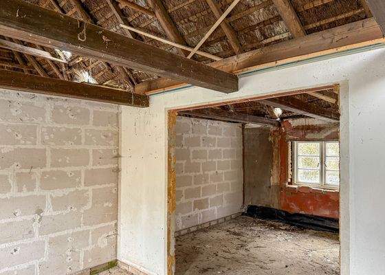 8 Entkernung Reetdachkate.jpg