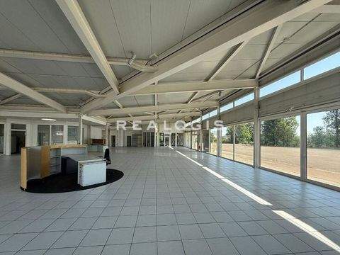 Herbrechtingen Halle, Herbrechtingen Hallenfläche