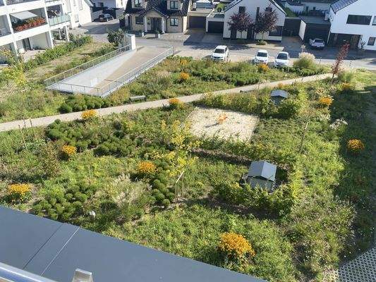 Blick von der Terrasse 