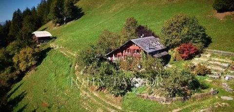 Rougemont Renditeobjekte, Mehrfamilienhäuser, Geschäftshäuser, Kapitalanlage