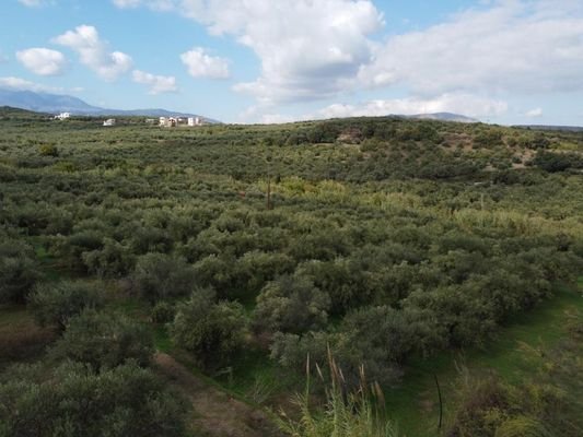 Kreta, Tsivaras: Grundstück zum Verkauf in Tsivaras