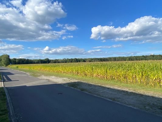 Straße und Ausblick