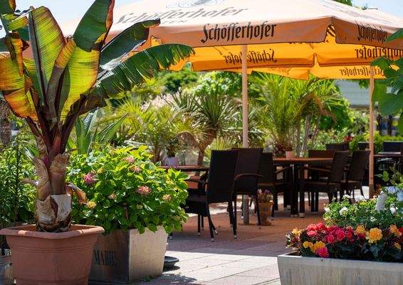 Umgebung_Havel Marin