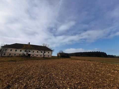 Weistrach Bauernhöfe, Landwirtschaft, Weistrach Forstwirtschaft