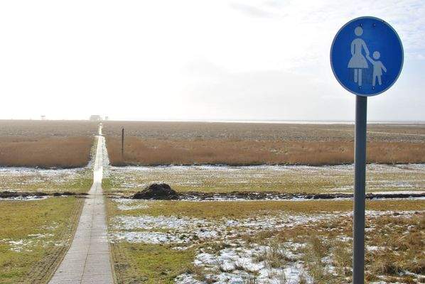 2015-01-25 13.40.02.jpg