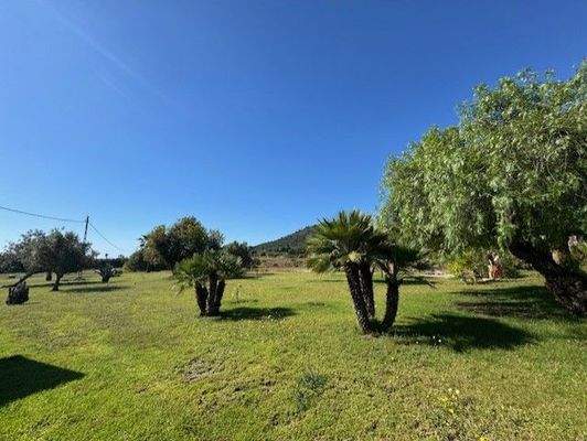 thumbnail_IMG_4583 (1).jpg