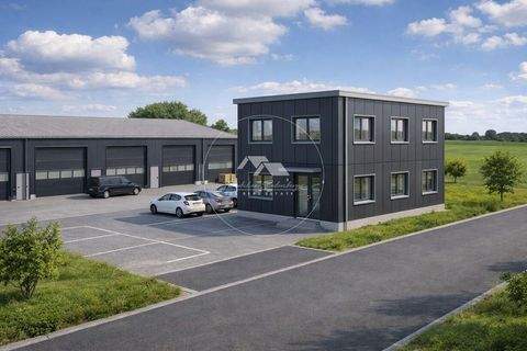 Tegernheim Halle, Tegernheim Hallenfläche