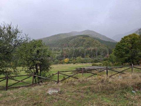 Sopot Bauernhöfe, Landwirtschaft, Sopot Forstwirtschaft