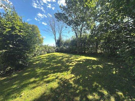 Garten_vorne - Kopie