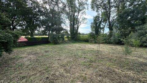 Dessau/Mosigkau Grundstücke, Dessau/Mosigkau Grundstück kaufen