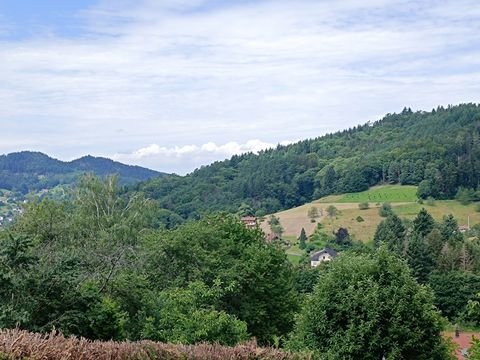 Bühlertal / Büchelbach Wohnungen, Bühlertal / Büchelbach Wohnung mieten