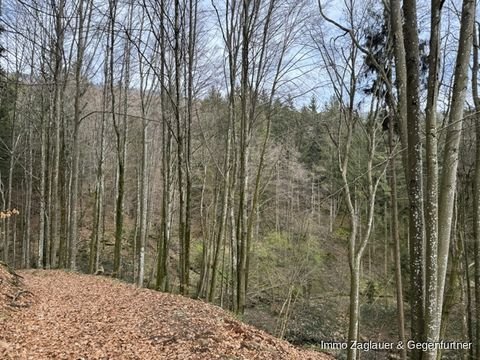 Schaufling / Böhaming Bauernhöfe, Landwirtschaft, Schaufling / Böhaming Forstwirtschaft