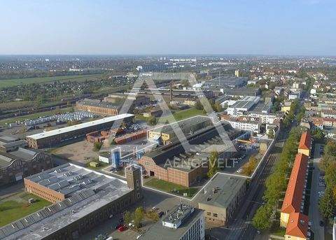 Magdeburg Halle, Magdeburg Hallenfläche