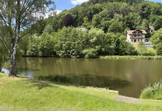 c6496621-0a8c-4cb7-87a1-1f5a908a3549-1907228906